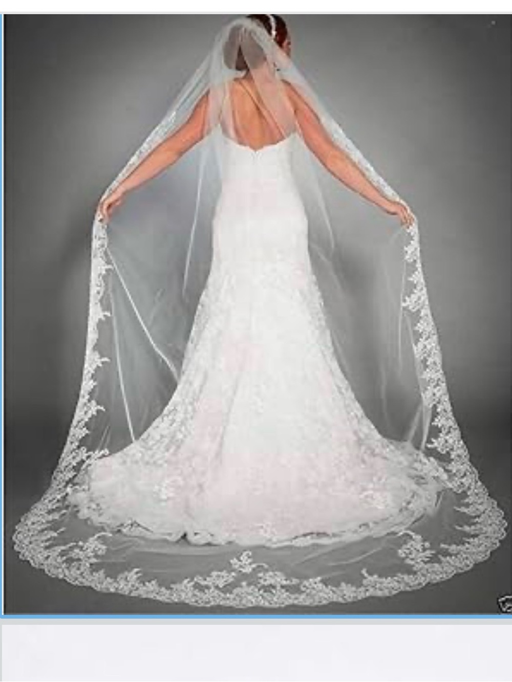 Lace-Edged Cathedral Wedding Veil - White